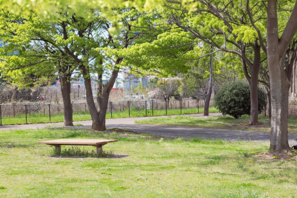 新緑の木々に囲まれた公園の芝生広場。木陰にベンチが置かれた穏やかな風景